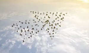 Liderar desde el interior