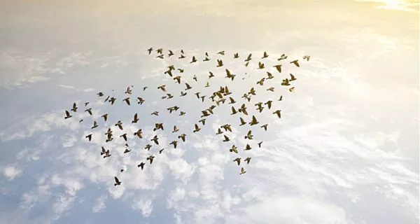 Imatge destacada de Twelve years growing together… and a new beginning